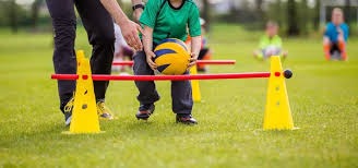 老虎机：解析“高波动率”机器的生存期。（高波动老虎机的生命周期深度解析）